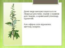 Деякі види використовуються як лікарські рослини, окремі з кормом для тварин,...