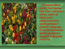 « Визначення» поезії Пастернак пов’язує з весною і літом, адже ці пори року с...
