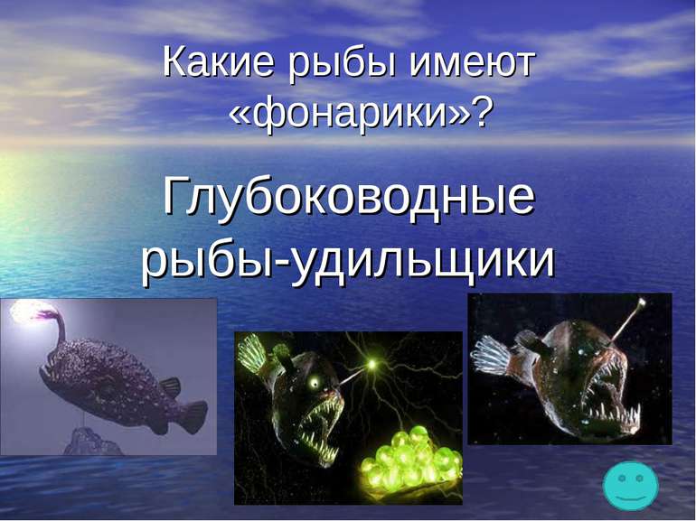 Какие рыбы имеют «фонарики»? Глубоководные рыбы-удильщики