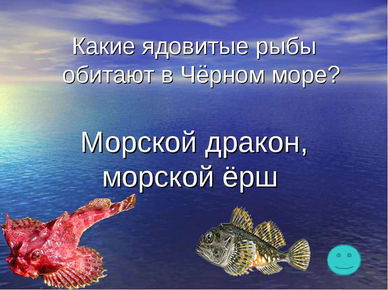 Какие ядовитые рыбы обитают в Чёрном море? Морской дракон, морской ёрш