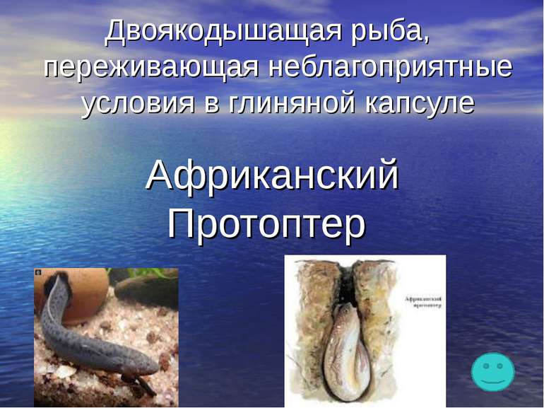 Двоякодышащая рыба, переживающая неблагоприятные условия в глиняной капсуле А...