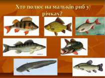 Хто полює на мальків риб у річках?