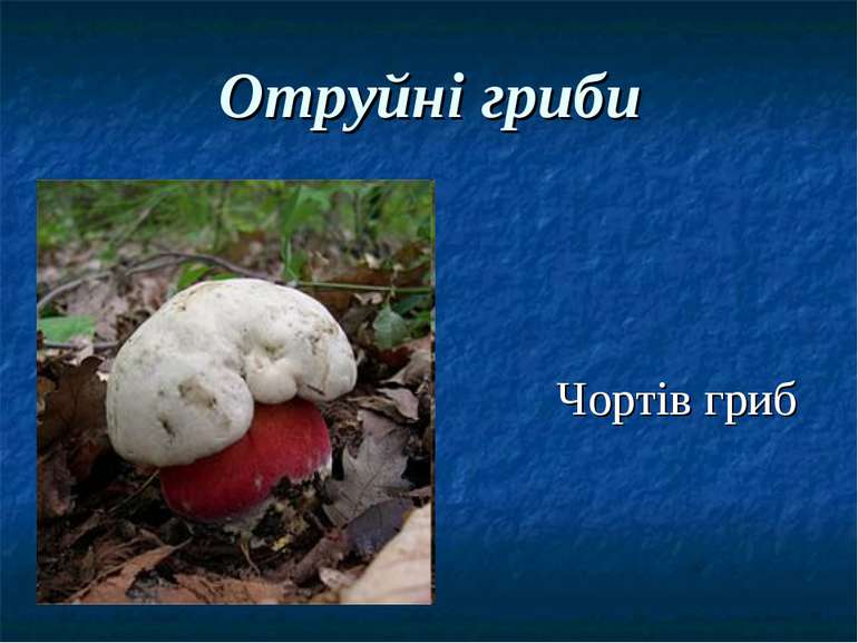 Отруйні гриби Чортів гриб