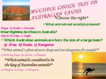 What animals eat eucaliptus leaves? a) Dingo b) Koala c) Possums What flightl...