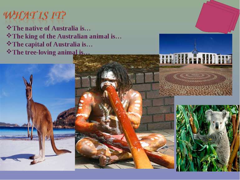 The native of Australia is… The king of the Australian animal is… The capital...