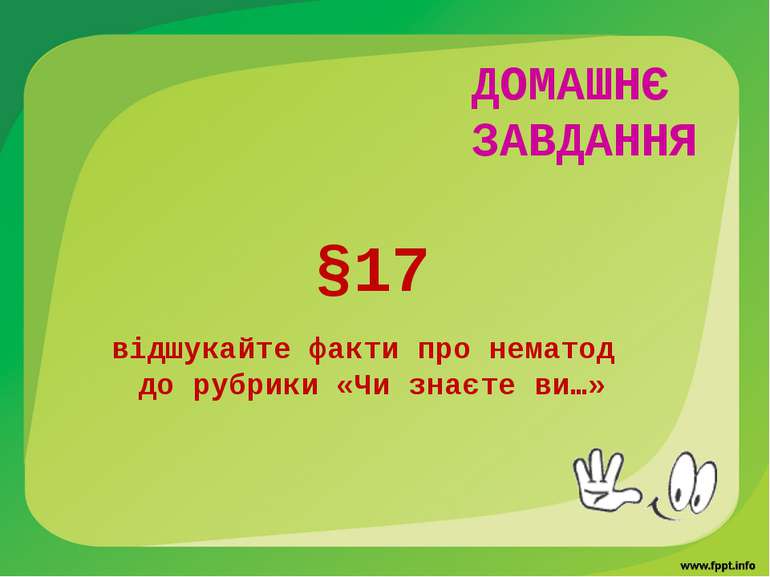 ДОМАШНЄ ЗАВДАННЯ §17 відшукайте факти про нематод до рубрики «Чи знаєте ви…»