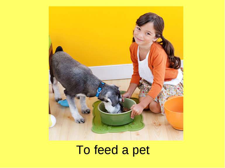 To feed a pet
