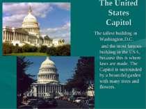 The United States Capitol The tallest building in Washington,D.C. and the mos...