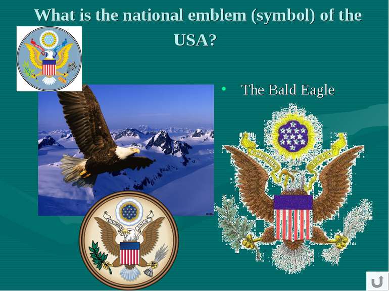 What is the national emblem (symbol) of the USA? The Bald Eagle