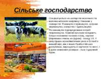 Сільське господарство Спеціалізується на скотарстві молочного та молочно-м'яс...