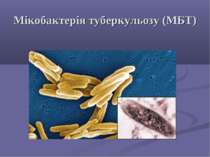 Мікобактерія туберкульозу (мбт) Загальна характеристика мбт мбт