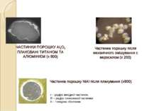 ЧАСТИНКИ ПОРОШКУ Al2O3 ПЛАКОВАНІ ТИТАНОМ ТА АЛЮМІНІЄМ (х 800) Частинка порошк...