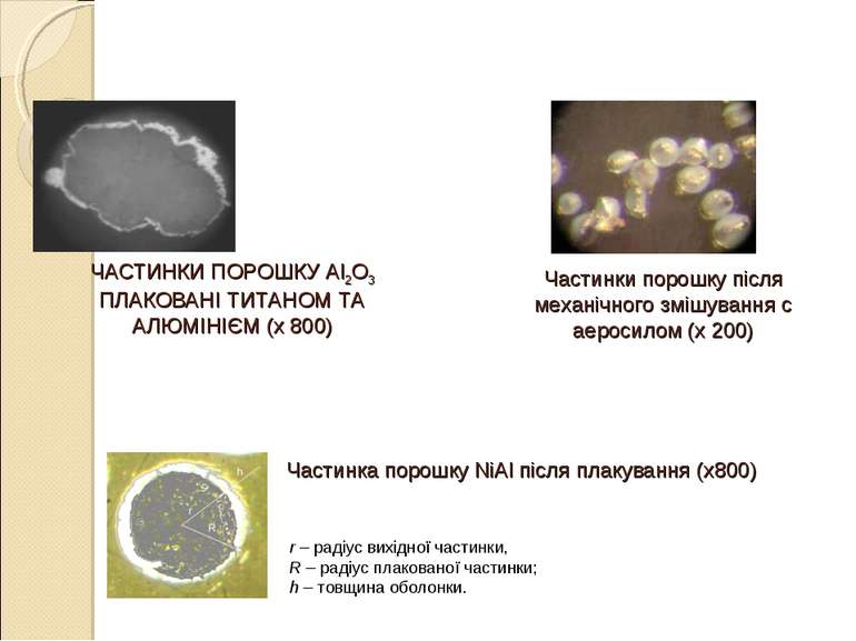 ЧАСТИНКИ ПОРОШКУ Al2O3 ПЛАКОВАНІ ТИТАНОМ ТА АЛЮМІНІЄМ (х 800) Частинка порошк...