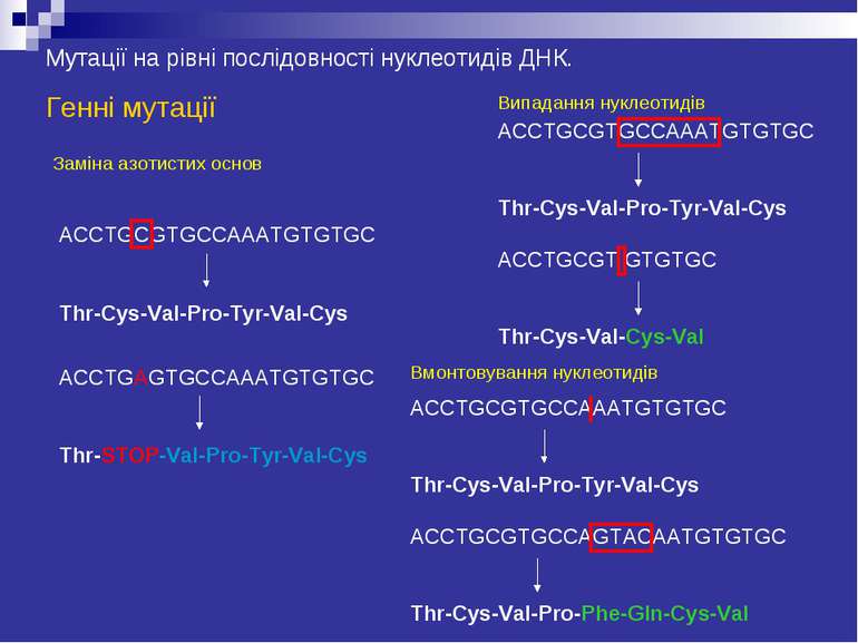 Мутації на рівні послідовності нуклеотидів ДНК. Генні мутації Заміна азотисти...