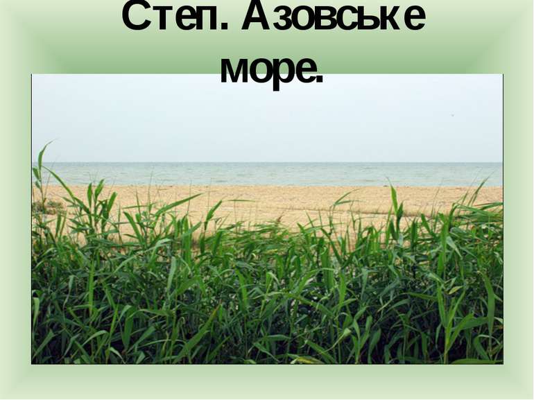 Степ. Азовське море.