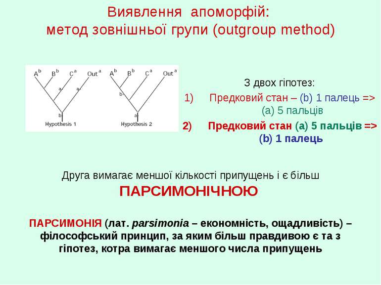 Виявлення апоморфій: метод зовнішньої групи (outgroup method) З двох гіпотез:...