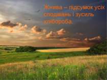 Жнива – підсумок усіх сподівань і зусиль хлібороба.