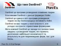 Що таке DanBred? DanBred це програма розведення племінних тварин Власниками D...