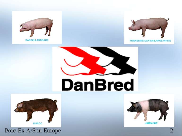 Porc-Ex A/S in Europe