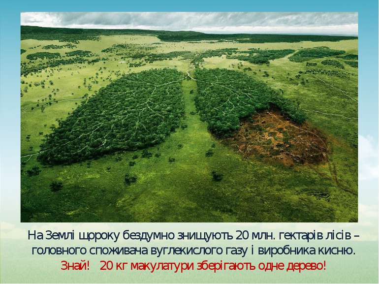 На Землі щороку бездумно знищують 20 млн. гектарів лісів – головного споживач...