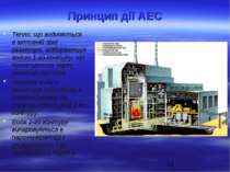 Принцип дії АЕС Тепло, що виділяється в активній зоні реактора, відбирається ...