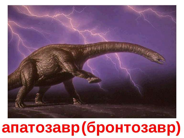 апатозавр (бронтозавр)