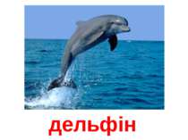 дельфін