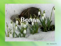 Весна Автор: Гнилицька Л.В.