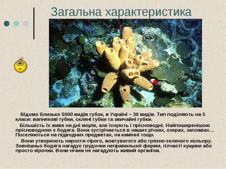 Загальна характеристика Відомо близько 5000 видів губок, в Україні – 30 видів...