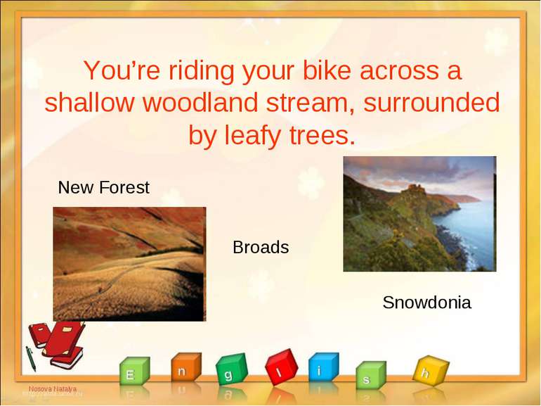 You’re riding your bike across a shallow woodland stream, surrounded by leafy...
