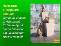 Памятник сибирским кошкам, которые спасли г. Ленинград (С.Петербург) после бл...