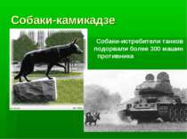 Собаки-камикадзе Собаки-истребители танков подорвали более 300 машин противника