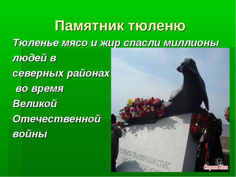 Памятник тюленю Тюленье мясо и жир спасли миллионы людей в северных районах в...