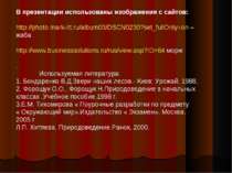 В презентации использованы изображения с сайтов: http://photo.mark-itt.ru/alb...