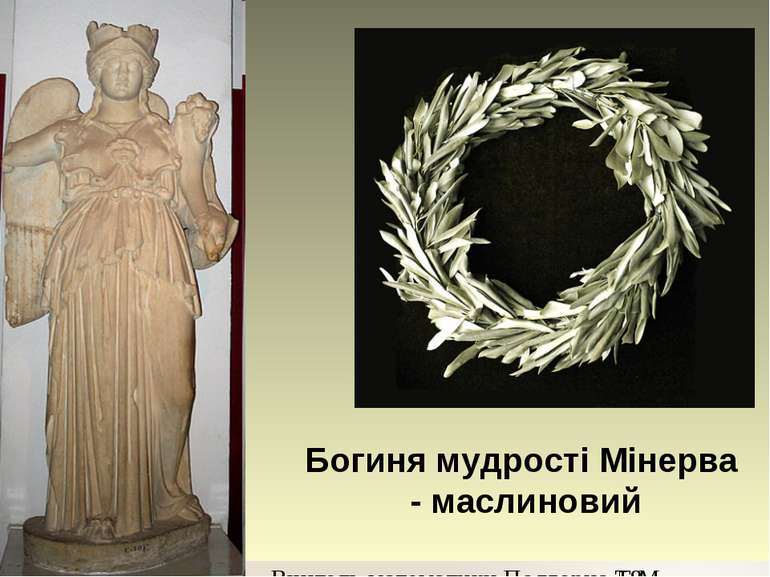 Богиня мудрості Мінерва - маслиновий Вчитель математики Подгорна Т.М.