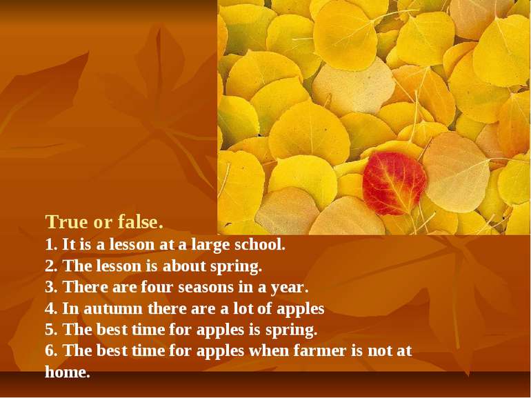 True or false. 1. It is a lesson at a large school. 2. The lesson is about sp...