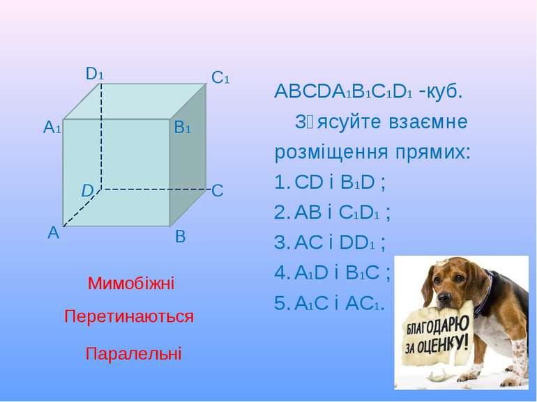 АВСDА1В1С1D1 -куб. З᾽ясуйте взаємне розміщення прямих: СD і В1D ; АВ і С1D1 ;...