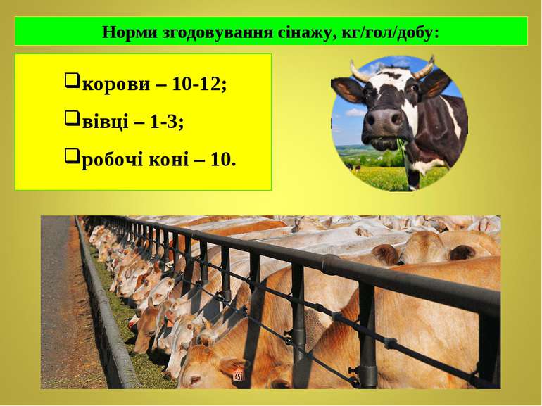 корови – 10-12; корови – 10-12; вівці – 1-3; робочі коні – 10.