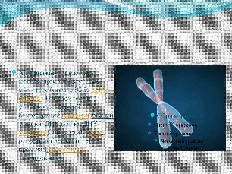 Хромосома — це велика молекулярна структура, де міститься близько 90 % ДНК кл...