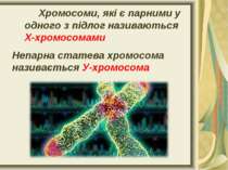 Хромосоми, які є парними у одного з підлог називаються Х-хромосомами Непарна ...