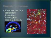 Хвороба Гантінгтона білок хантінгтін з невідомою функцією, пошкоджує нейрони ...