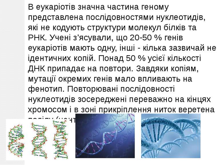 В еукаріотів значна частина геному представлена послідовностями нуклеотидів, ...