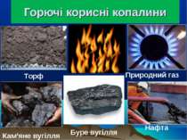 Горючі корисні копалини Кам’яне вугілля Буре вугілля Торф Нафта Природний газ