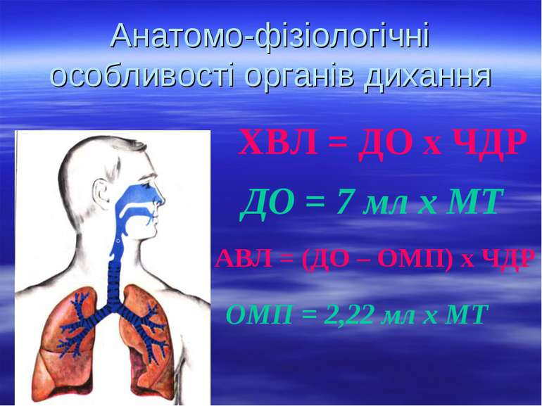 Анатомо-фізіологічні особливості органів дихання ХВЛ = ДО х ЧДР ДО = 7 мл х М...
