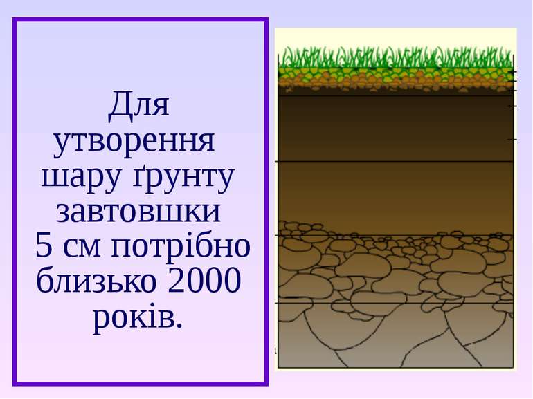 Для утворення шару ґрунту завтовшки 5 см потрібно близько 2000 років.