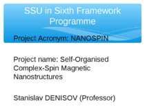 Project Acronym: NANOSPIN Project name: Self-Organised Complex-Spin Magnetic ...