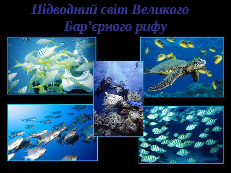 Підводний світ Великого Бар’єрного рифу
