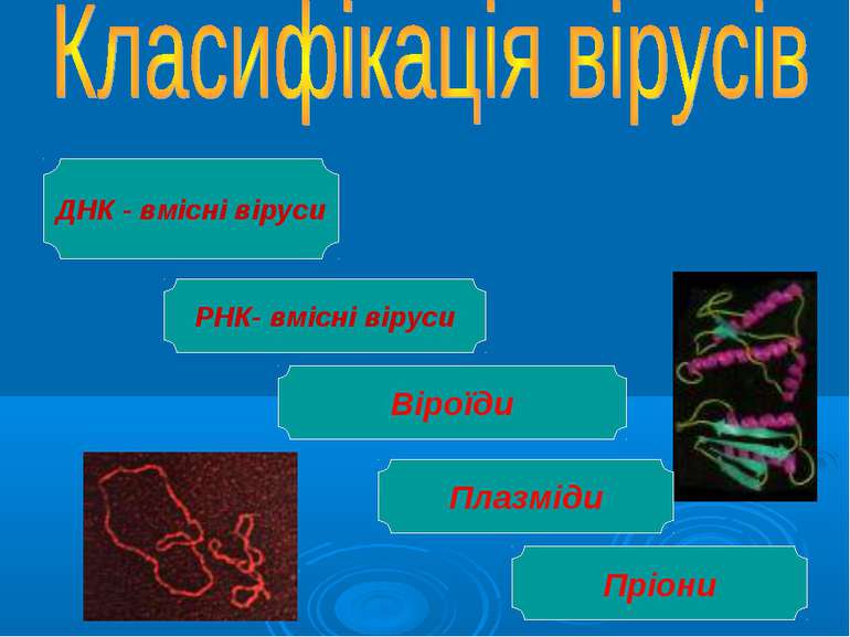 РНК- вмісні віруси Віроїди Плазміди Пріони ДНК - вмісні віруси