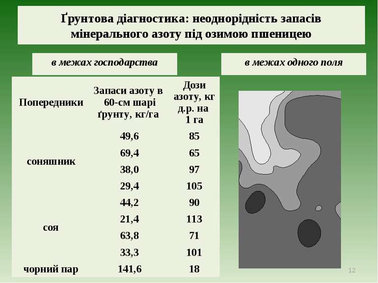 Ґрунтова діагностика: неоднорідність запасів мінерального азоту під озимою пш...