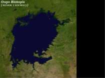 Озеро Вікторія (знімок з космосу)